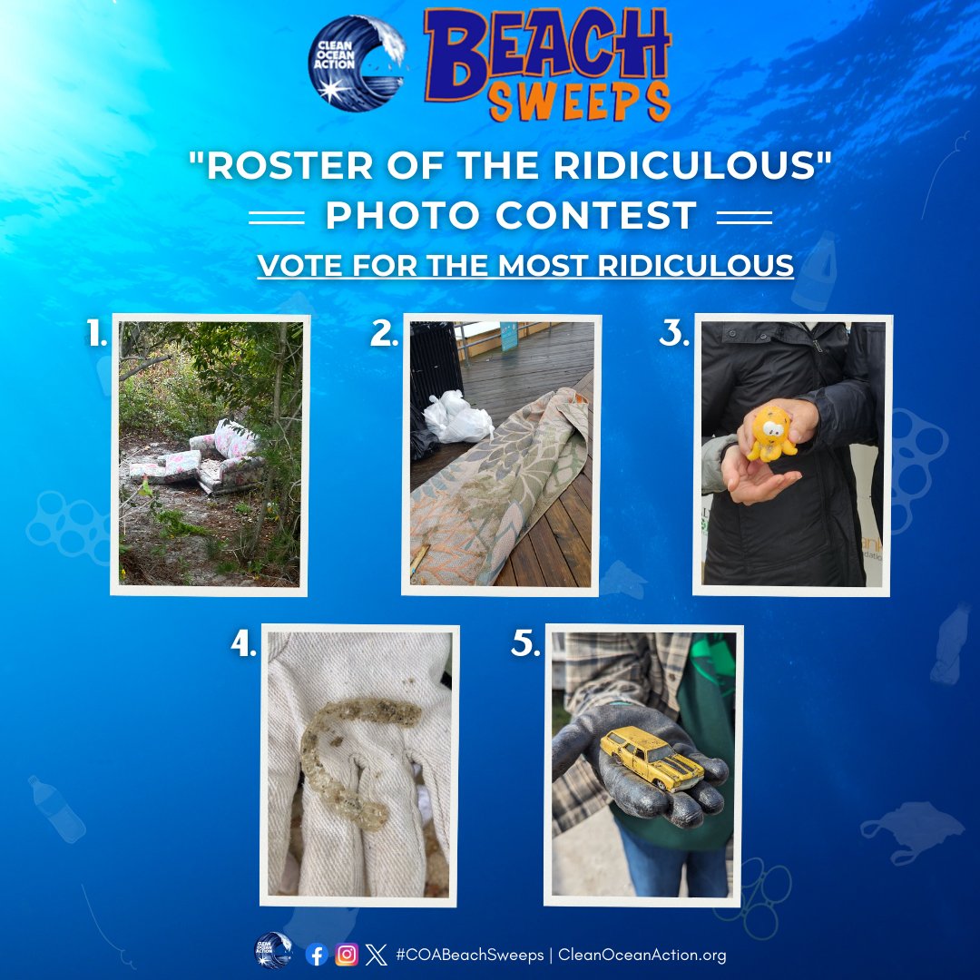 The Top 5 items for the #photocontest are here! #Vote by 11:59pm on 11/12: tinyurl.com/yudjf8xh

The items:
1.) Loveseat
2.) 8x10 Area Rug
3.) Toy Octopus
4.) Invisalign Braces
5.) Toy Car

The winner will be announced on Wednesday, 11/15!
#ridiculousitems #foundonNJbeaches