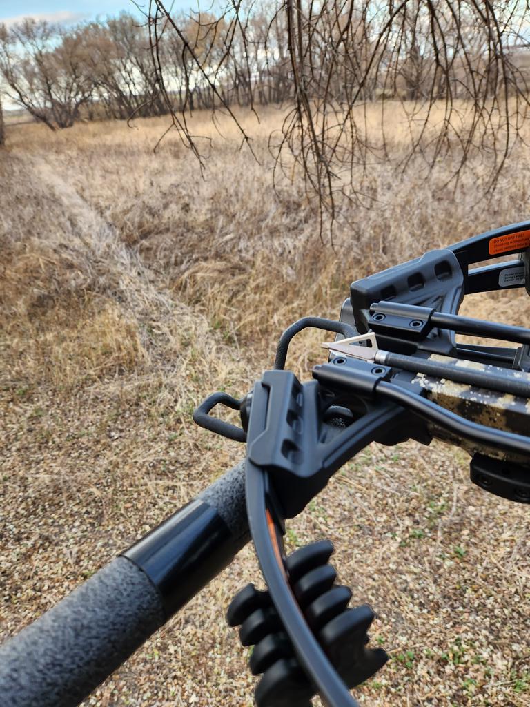 BrotherhoodHD's tweet photo. Oh, what a lovely evening for bow hunting! https://t.co/nhWr5kNuAN
