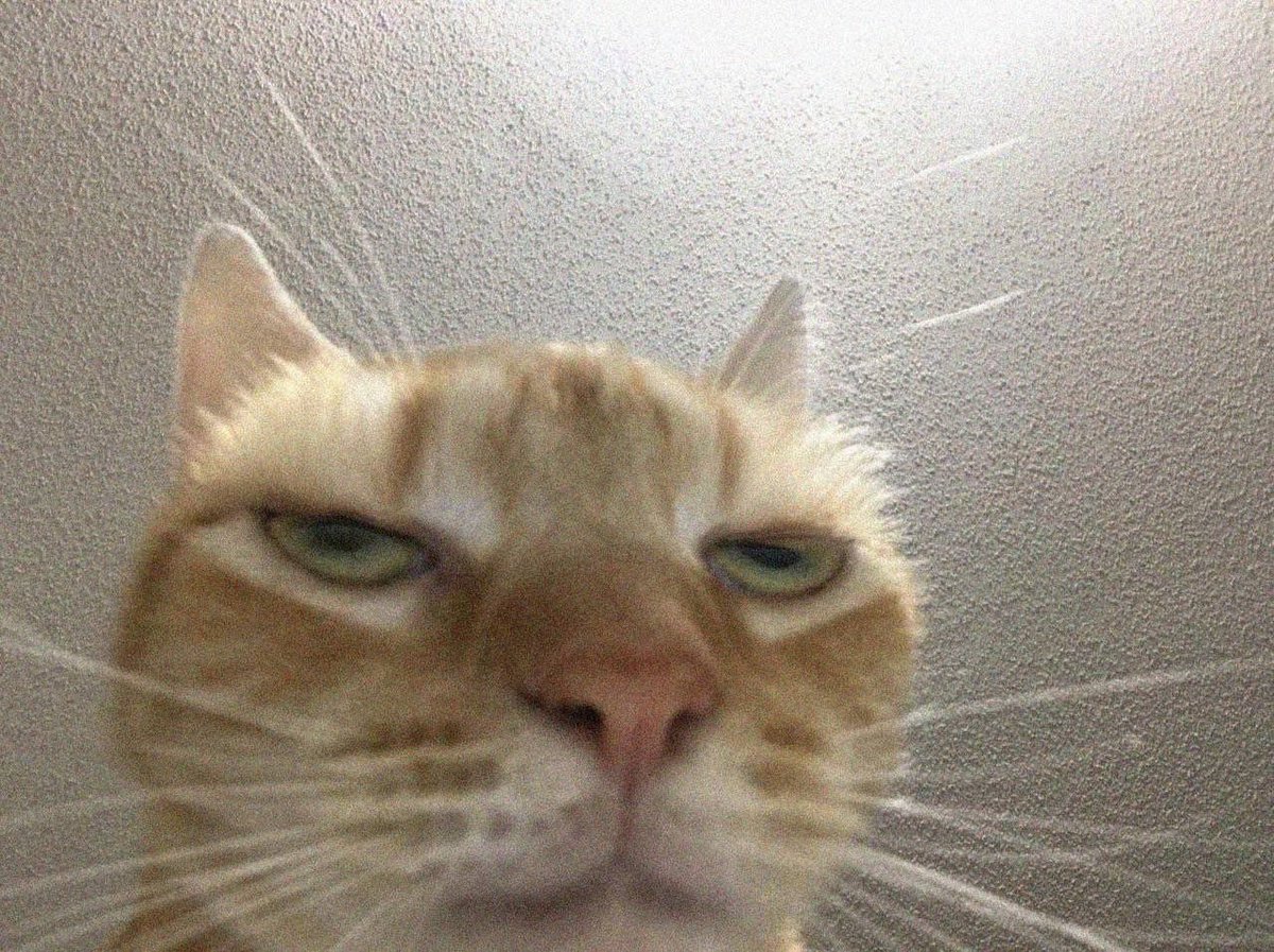 ₿⚡ Jacket tweet media