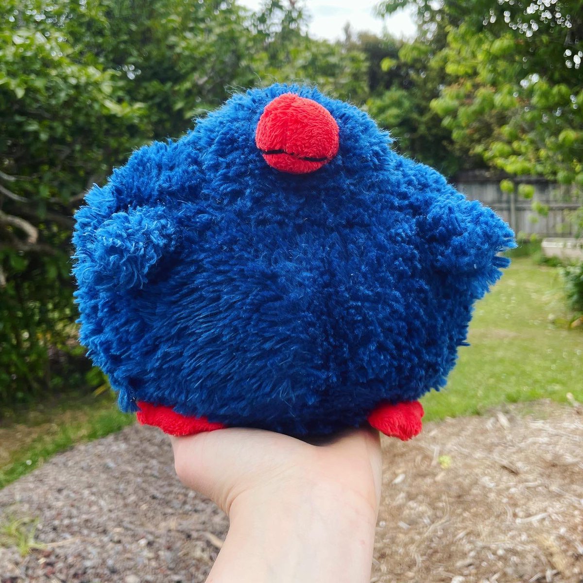 Don’t miss the chance to bid on one of our charity auctions! trademe.co.nz/a/search?membe…
Thanks to FangnFinn, Ronja Schipper, and Cathy Casey for donating the items 💚