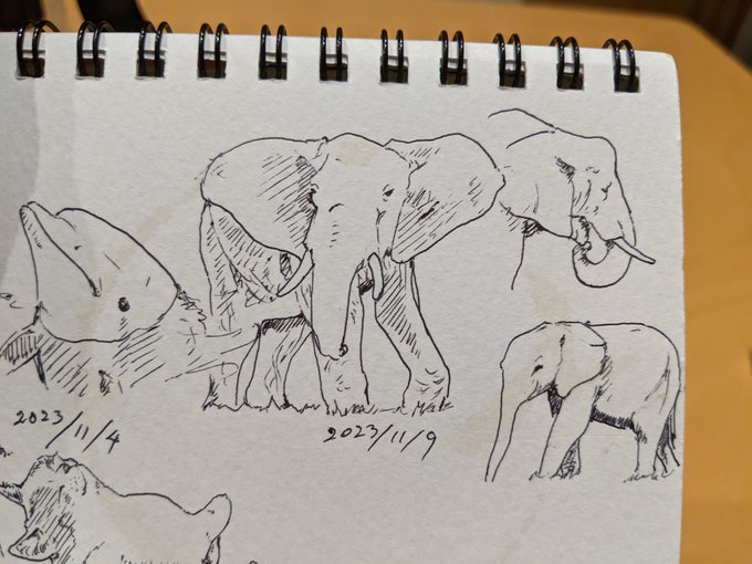 昨日は誕生日だったんだ カキカキ。 