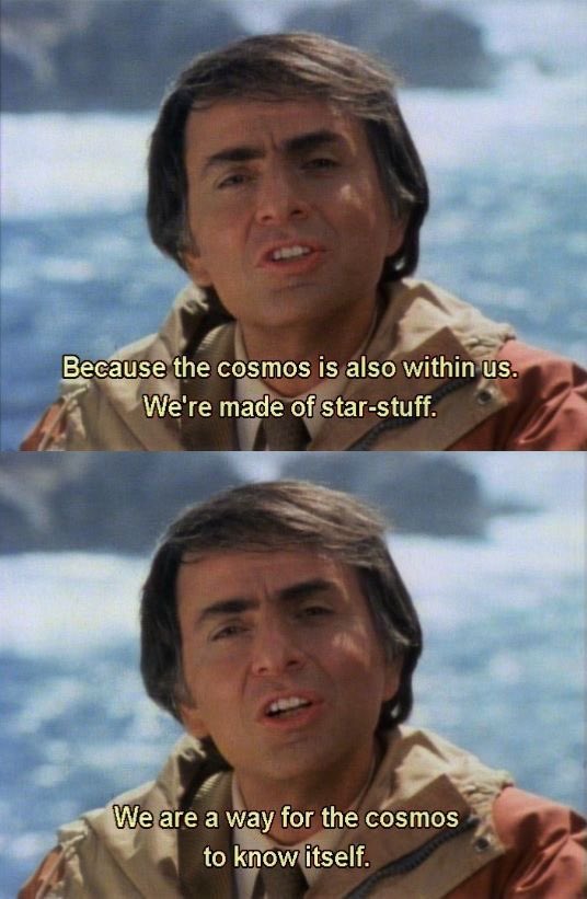 i miss carl sagan so much.