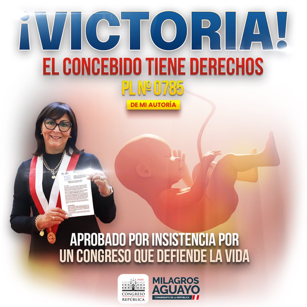 MJAguayo63's tweet photo. 🔵#VICTORIAPROVIDA | APROBADO por insistencia el #PL785, de mi autoría, que establece la LEY QUE RECONOCE DERECHOS AL CONCEBIDO, comenzando con el derecho a #LaVida.

¡El concebido tiene derechos!

🇵🇪 #PeruEsProvida #MilagrosAguayo https://t.co/d6etqwEcxR