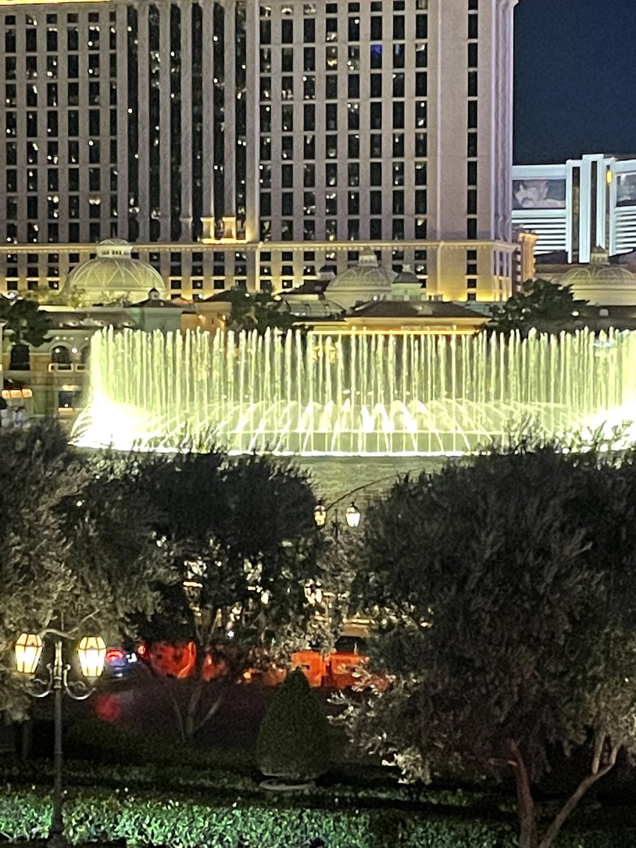 Wonderful holiday in Vegas