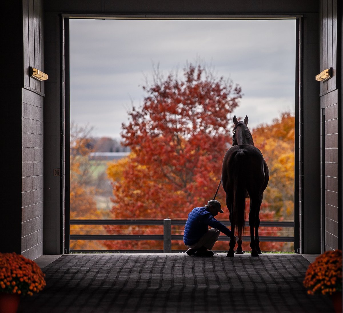 Here’s to the grooms &amp; other caretakers who keep Kentucky’s equine residents looking spiffy, from mane to hoof ✨ It’s all about attention to detail when it comes to keeping horses happy and healthy. 

#VisitHorseCountry