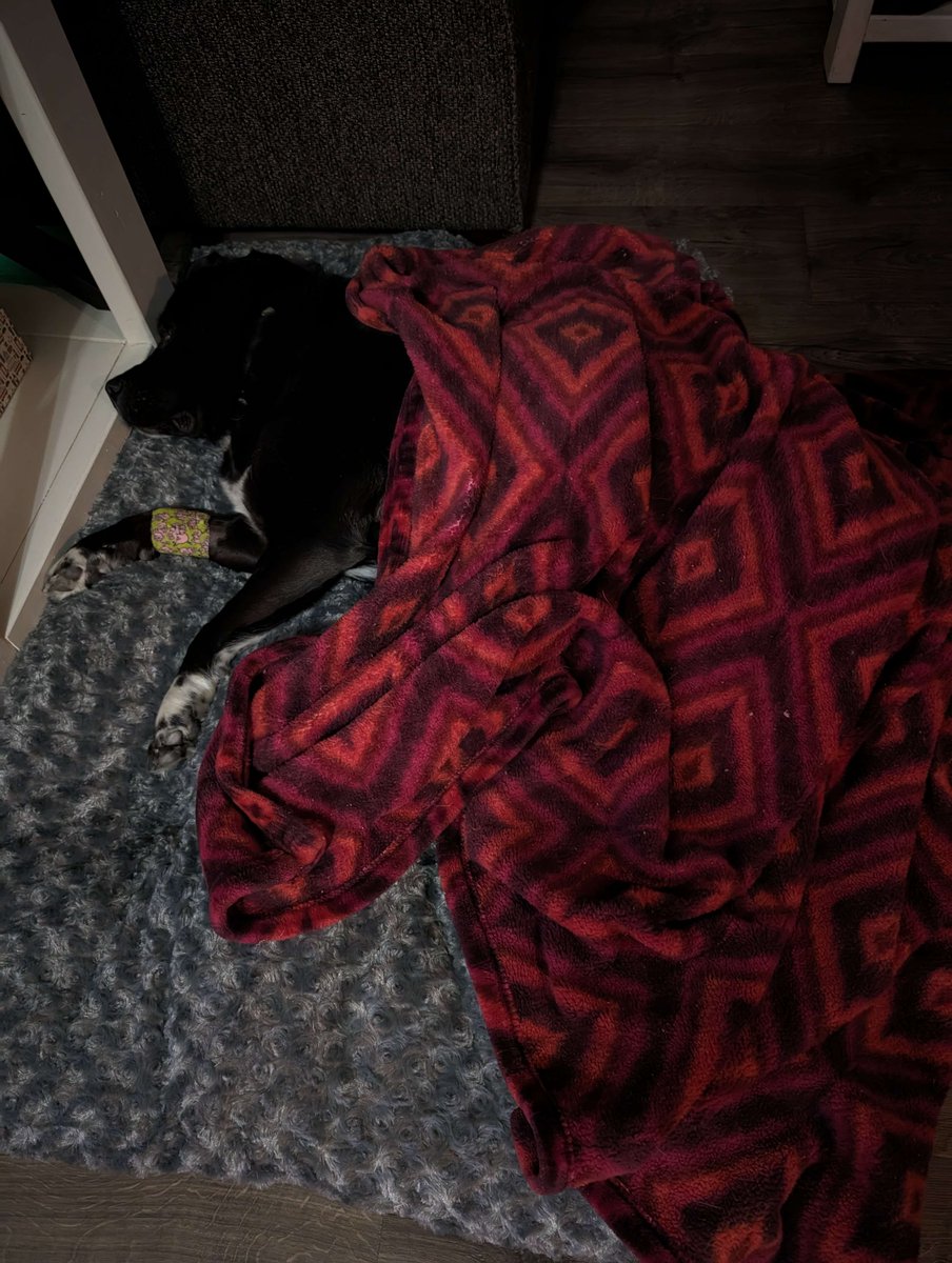 Errn 🐸🍄 tweet media