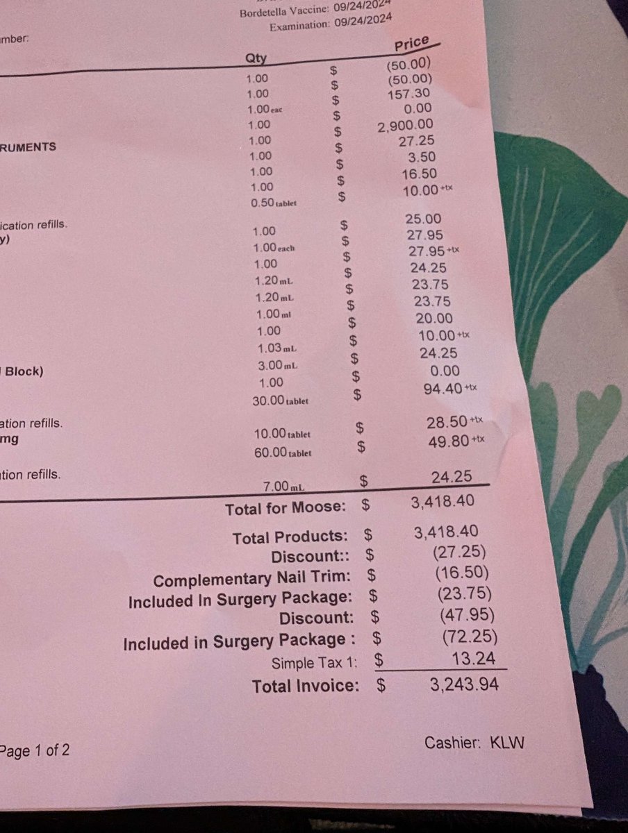 Errn 🐸🍄 tweet media