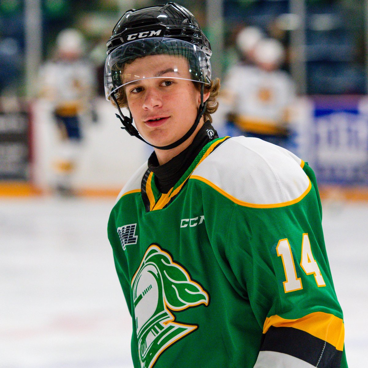 LondonKnights's tweet image. Evan Van Gorp will make his OHL debut in Windsor tonight.

#Knights