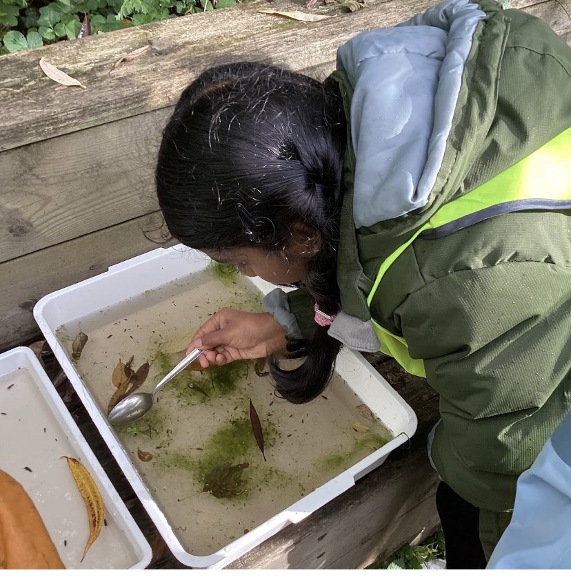 Our Year 3 and 4 children had a great time at the Nature Discovery Centre and their learning about habitats was really brought to life!