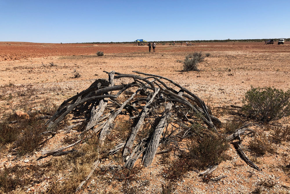 A new approach to understanding Aboriginal foodways. Food for thought from a #UQ-led research team on how Australia's past can inform the future. bit.ly/3QQTbkV @CoEplantsuccess @WestawayMichael #ArchaeologyofFood