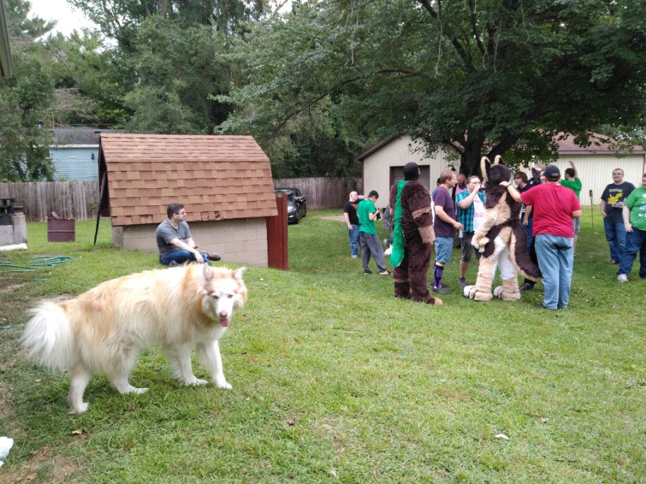 Cinux Buttcurl tweet media