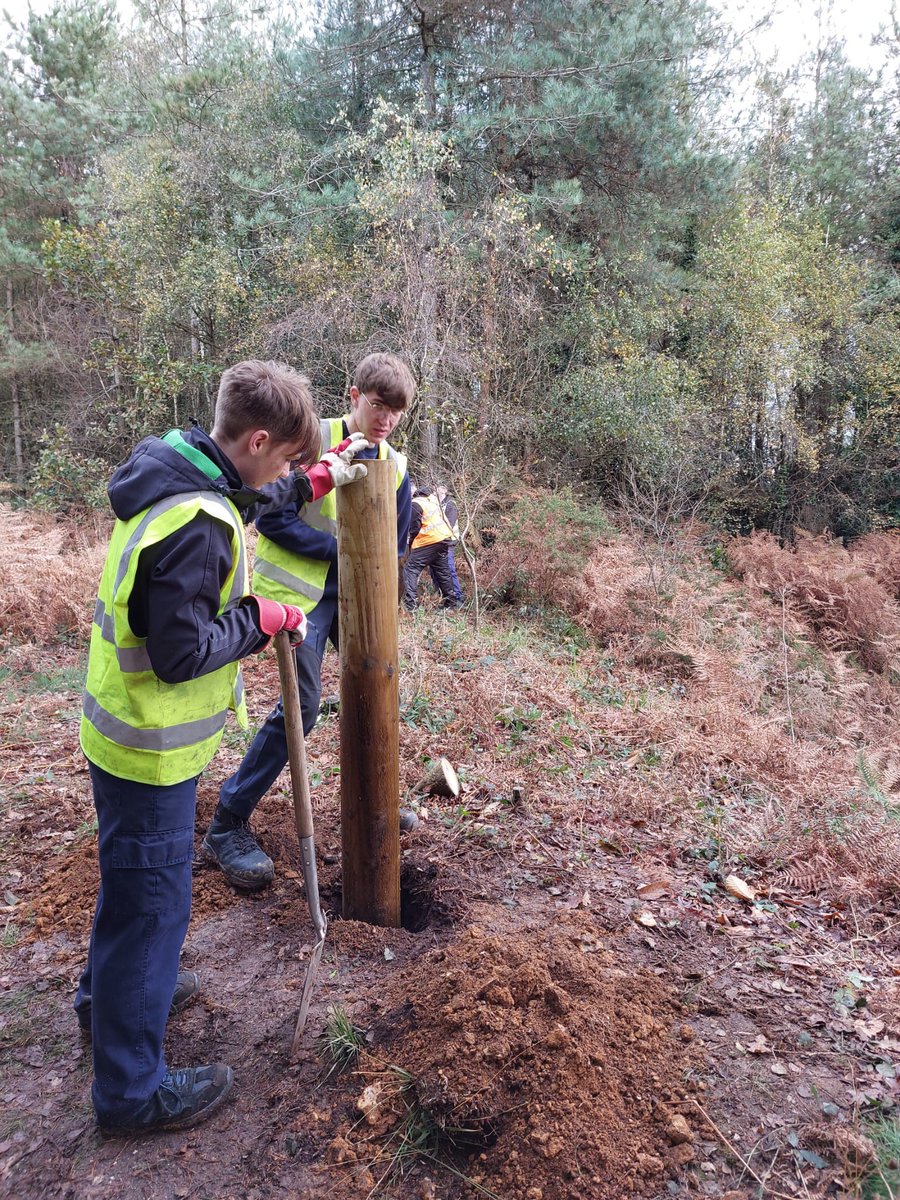 We were recently joined by students from Kingston Maurward College taking part in a new scheme with our Forest Craftspeople - learning new skills & finding out about the local landscape. They worked together to replace fencing around a geologically important site @tweet_kmc