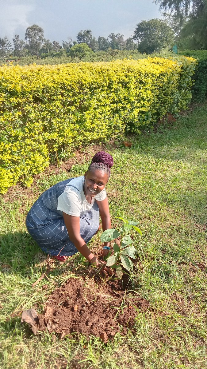 KiburuN's tweet photo. #jazamiticampaign https://t.co/WRuqtikdhQ