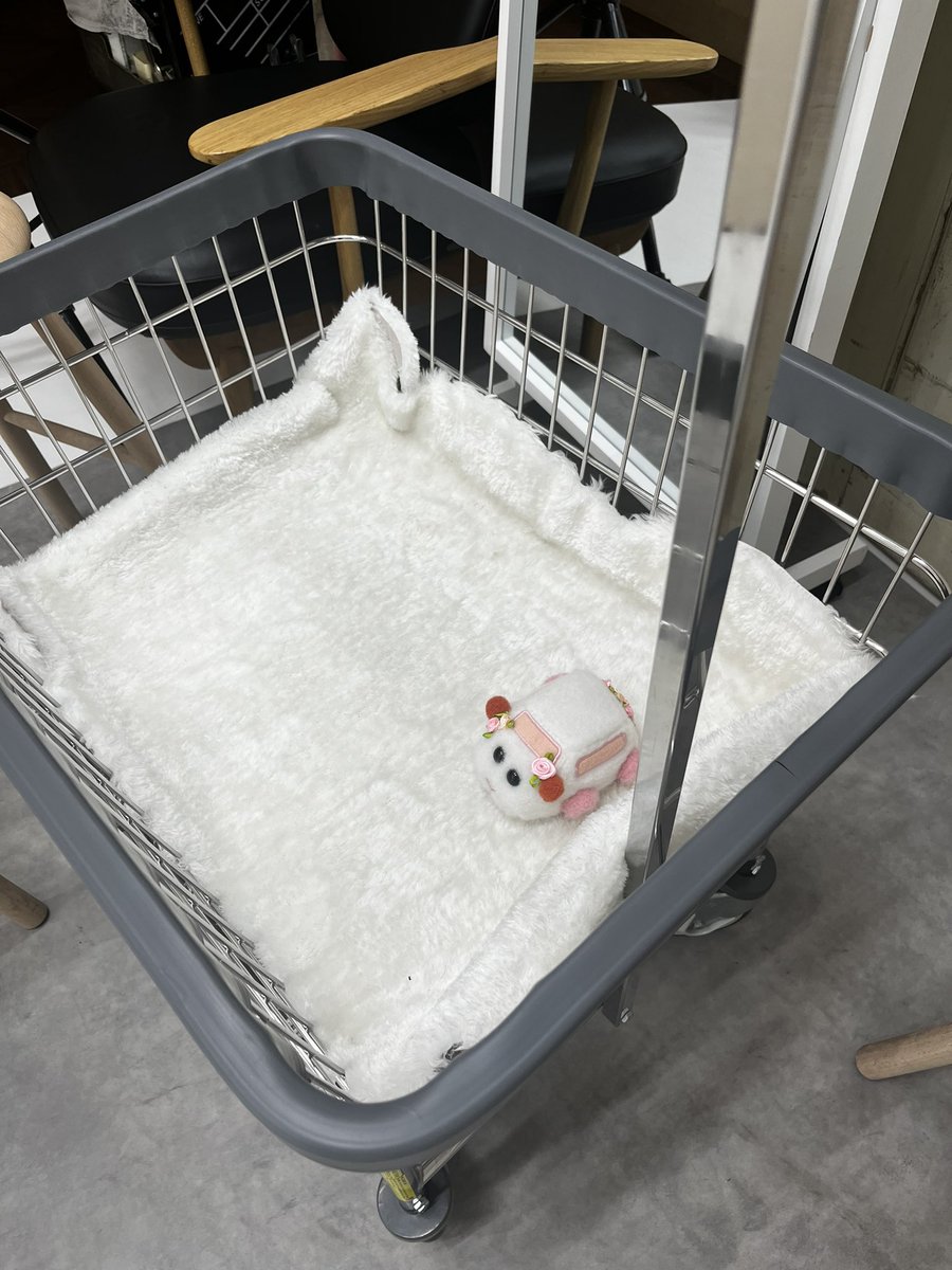 ぴぴ (@pipichaaaaan_) / Posts / X