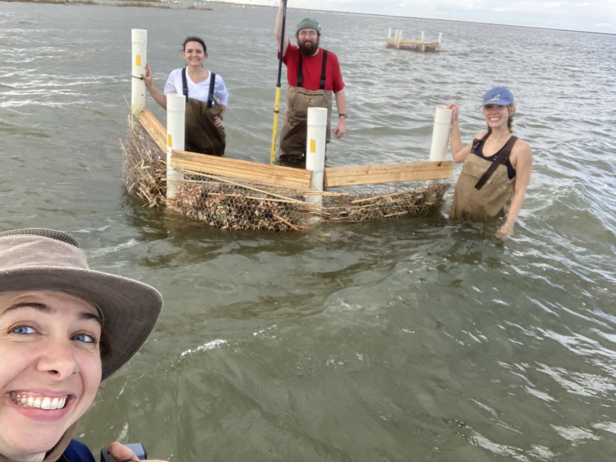 Maddie Foster-Martinez (@fostinez) on Twitter photo 😍love😍 the permeable walls these EES seniors designed, constructed, & installed. Testing ways to enhance #sedimentation and #LandBuilding They where a small but mighty class! And make me #UNOproud ✨
#QuarantineBay #NeptunePass #BayDenesseLivingLab <a href="/UofNO/">University of New Orleans</a> <a href="/TheH2OInstitute/">The Water Institute</a> 😍love😍 the permeable walls these EES seniors designed, constructed, & installed. Testing ways to enhance #sedimentation and #LandBuilding They where a small but mighty class! And make me #UNOproud ✨
#QuarantineBay #NeptunePass #BayDenesseLivingLab <a href="/UofNO/">University of New Orleans</a> <a href="/TheH2OInstitute/">The Water Institute</a>