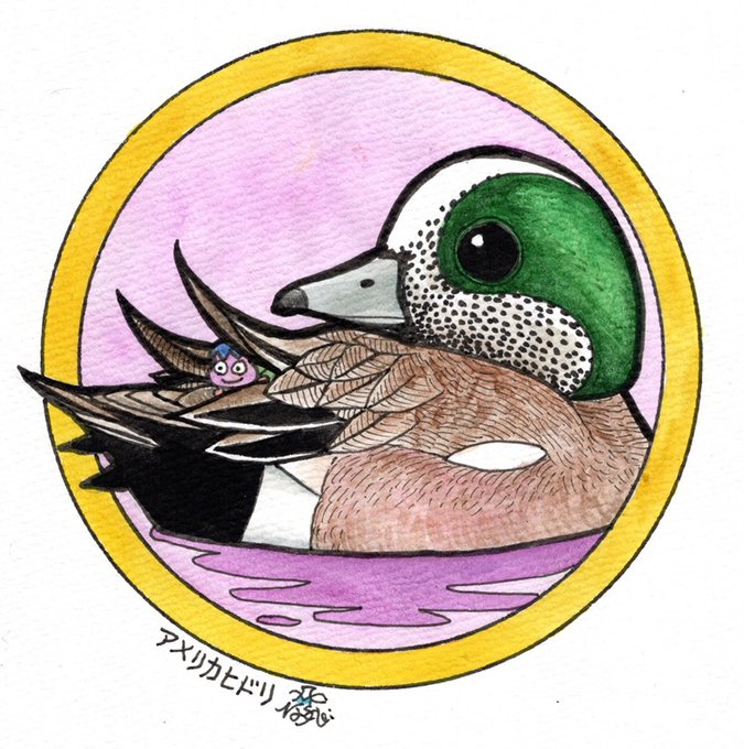 「beak traditional media」 illustration images(Latest)