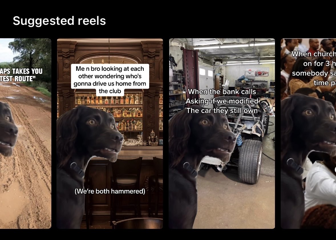 Hey ⁦<a href="/instagram/">Instagram</a>⁩… the dog meme is cute and all but maybe we try switching it up a bit.