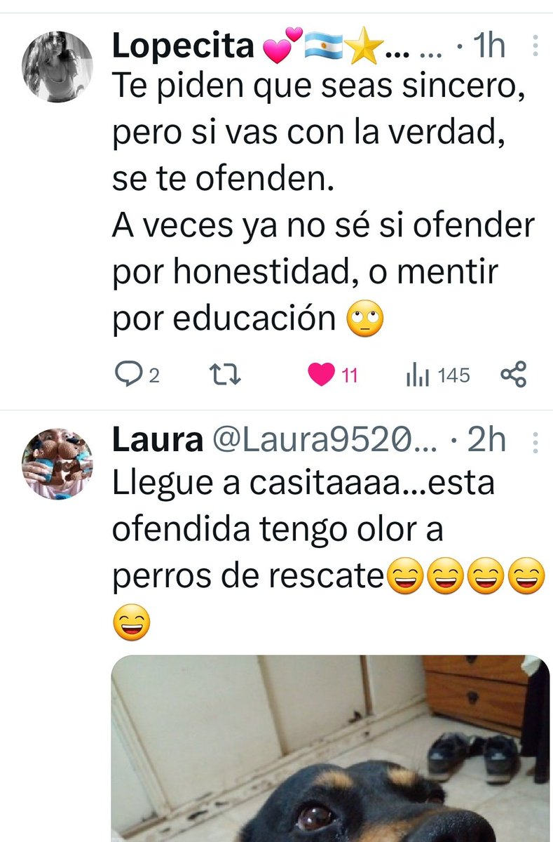 verob66's tweet photo. Bueno, hoy la agarré  yo.
#combotwitt
@maru18173  le da un consejo a @Laura952004 para con su negrita https://t.co/xIyPm2IpFI