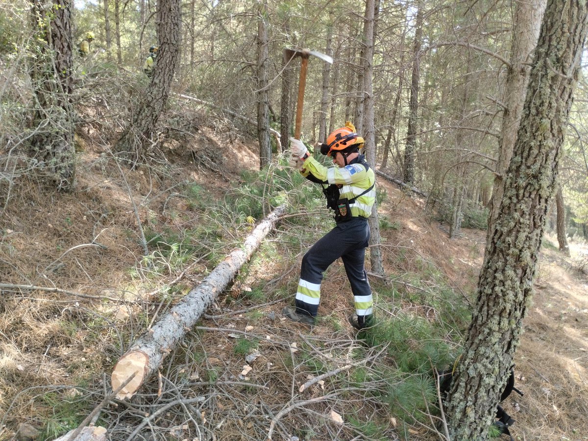 LineaA2pies's tweet photo. Lo habitual en las unidades helitransportadas como la nuestra #BIFOR #INFOCAM #LasMinas es utilizar intensamente herramienta manual en los diferentes entrenos y en las tácticas de extinción de #IIFF pulaskis, azadas, mcleods, gorguis, es lo que solemos utilizar.
🪡🧵 Dentro hilo https://t.co/sTiNfNNzy8