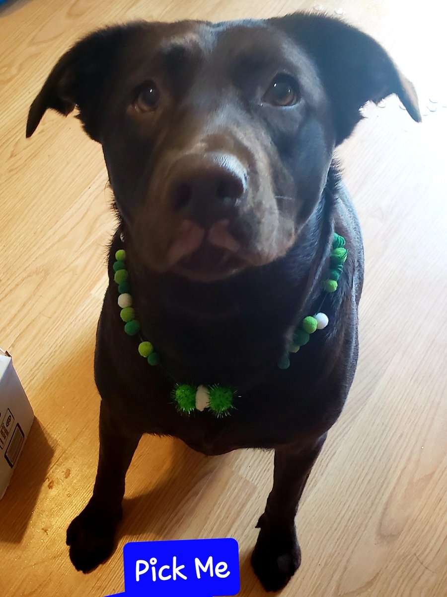 #CashAppPlays 

$GretchRo 

<a href="/cashapp/">Cash App</a> <a href="/josh/">Josh Lowensohn</a>