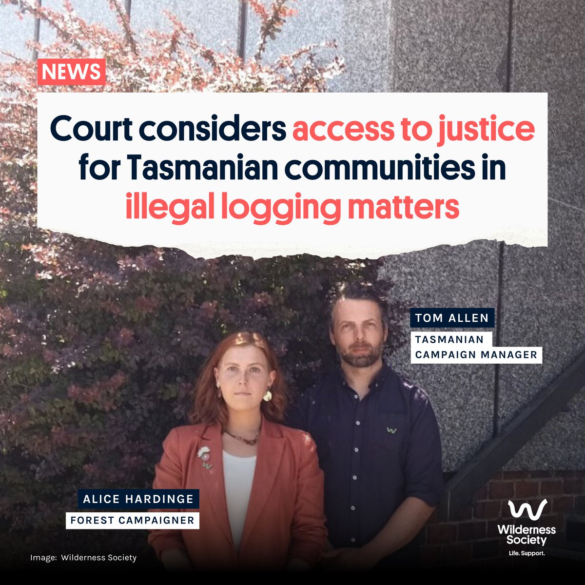 Wilderness Society Tas appeared in court yesterday over alleged illegal #logging by Forestry Tasmania in the Styx region.

The decision from this hearing could have far reaching repercussions for access to justice over illegal logging issues in #Tasmania.👇wilderness.org.au/tas_forest-acc…