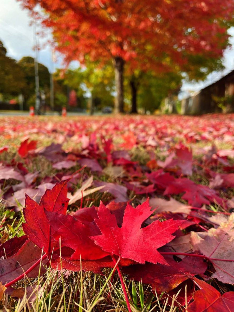 Dorothy6665's tweet photo. 一生は短いです
後悔したり不愉快になったりしてはいけません https://t.co/l1GQb0LKFL
