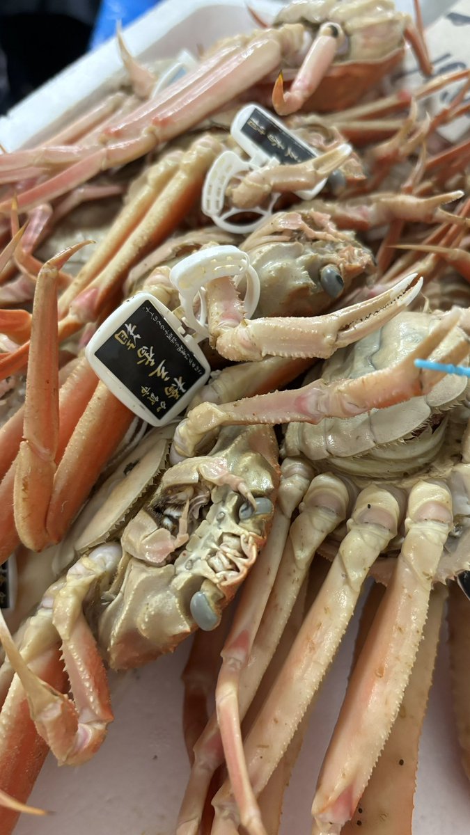 始まりました！！