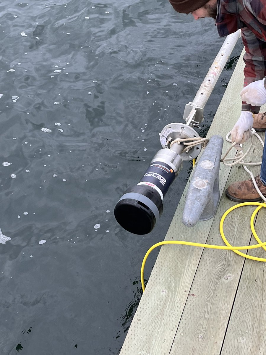 ROMOR Ocean Solutions tweet media