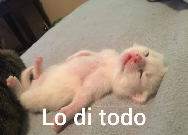 No sé que es peor, si mi vida social en internet, o mi vida social en la vida real 😭JWJFKSJDJSJDTT