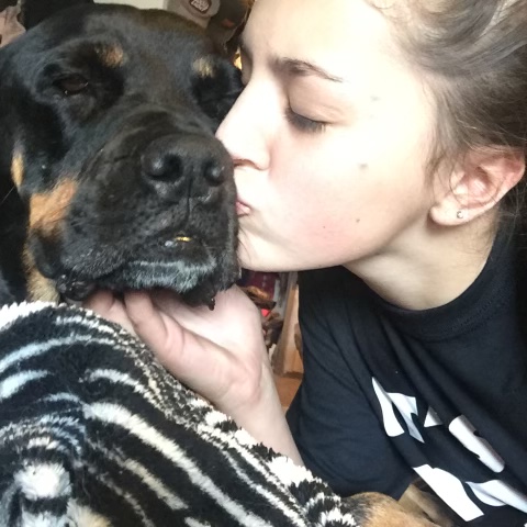 Kitsap Humane Society tweet media