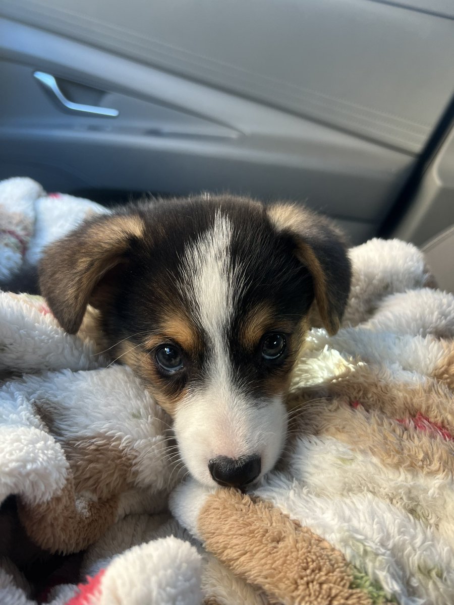 the newest addition <3