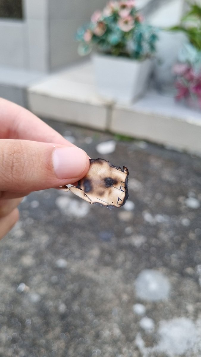 CihTo's tweet image. foram 9 anos.
9 longos anos, mas eu só me dei conta mesmo tem uns 3 meses atrás.
há 3 meses alguns acontecimentos me fizeram despertar a saudade no 300%. além disso, reparei que nunca me despedi apropriadamente. afinal, não consegui te ver naquela fatídica sexta-feira.