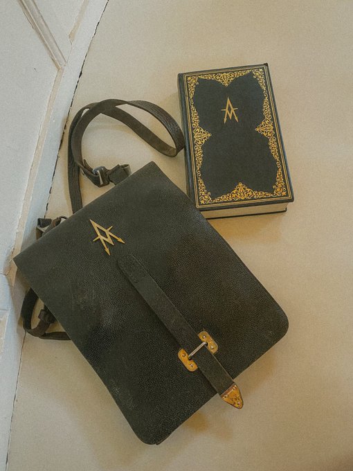 THE BALLAD OF SONGBIRDS AND SNAKES IN THEATRES NOVEMBER 17th!!   welcome back to the world of panem,<a href="/tag/thehungergames"class="tags"><span>#thehungergames</span></a><a href="/tag/theballadofsongbirdsandsnakes"class="tags"><span>#theballadofsongbirdsandsnakes</span></a>