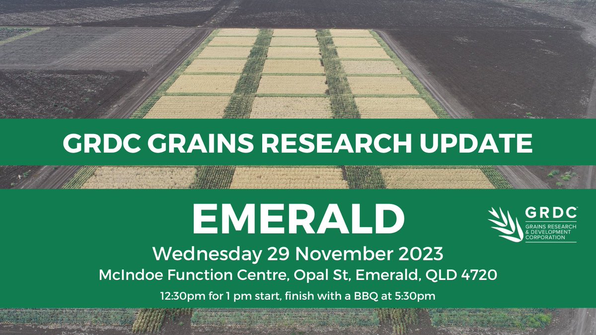 Join in at the CQ GRDC Update Emerald 29th Nov for the latest information on farming systems to drive better decisions. Hope to see you there. Register  icanrural.com.au <a href="/GRDCNorth/">GRDC North</a>