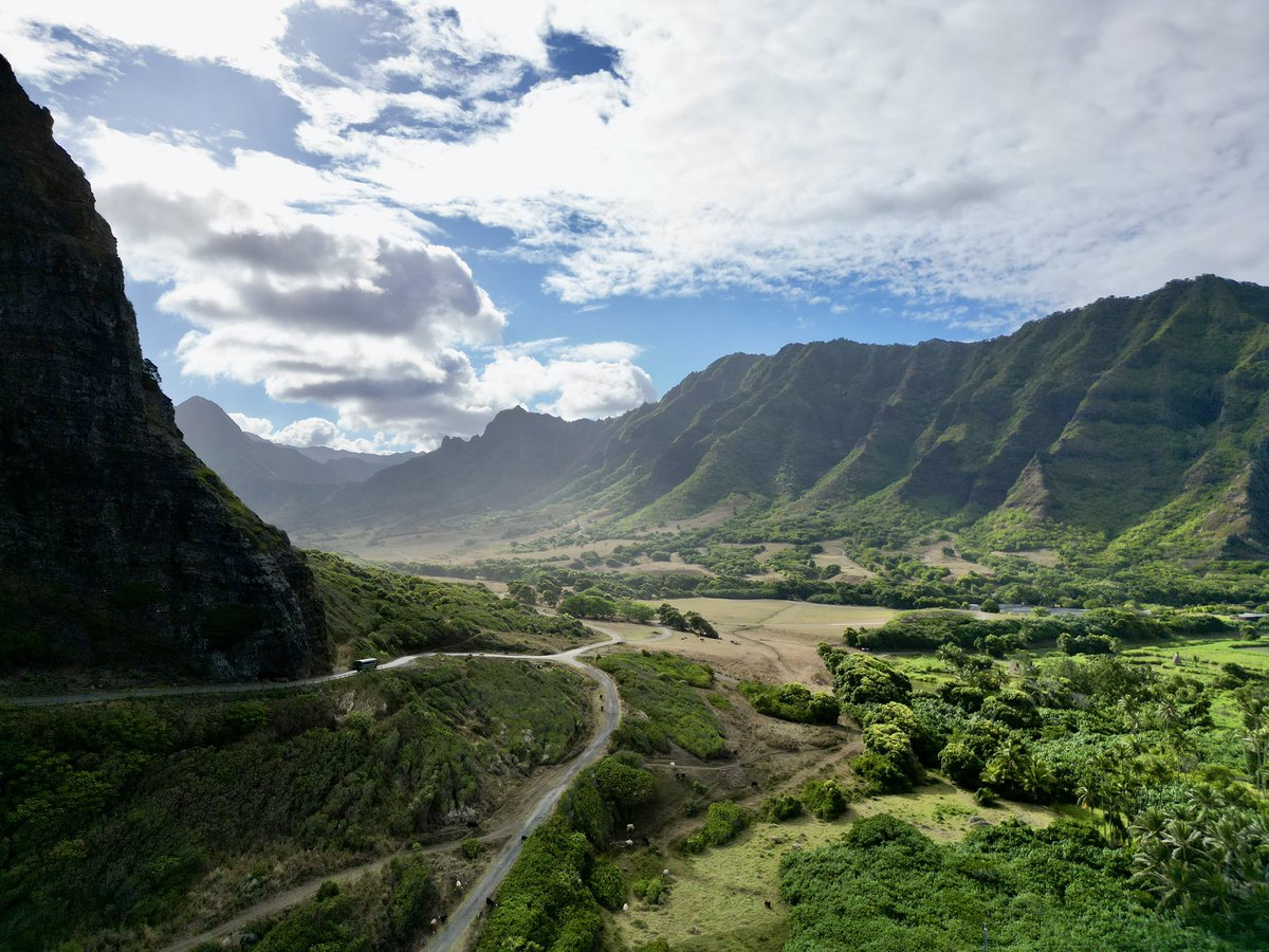 Ed Strivens tweet media