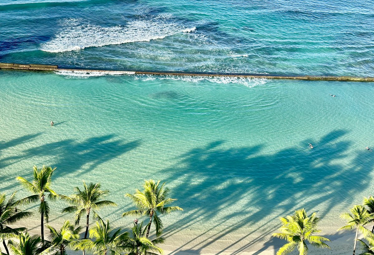 Ed Strivens tweet media