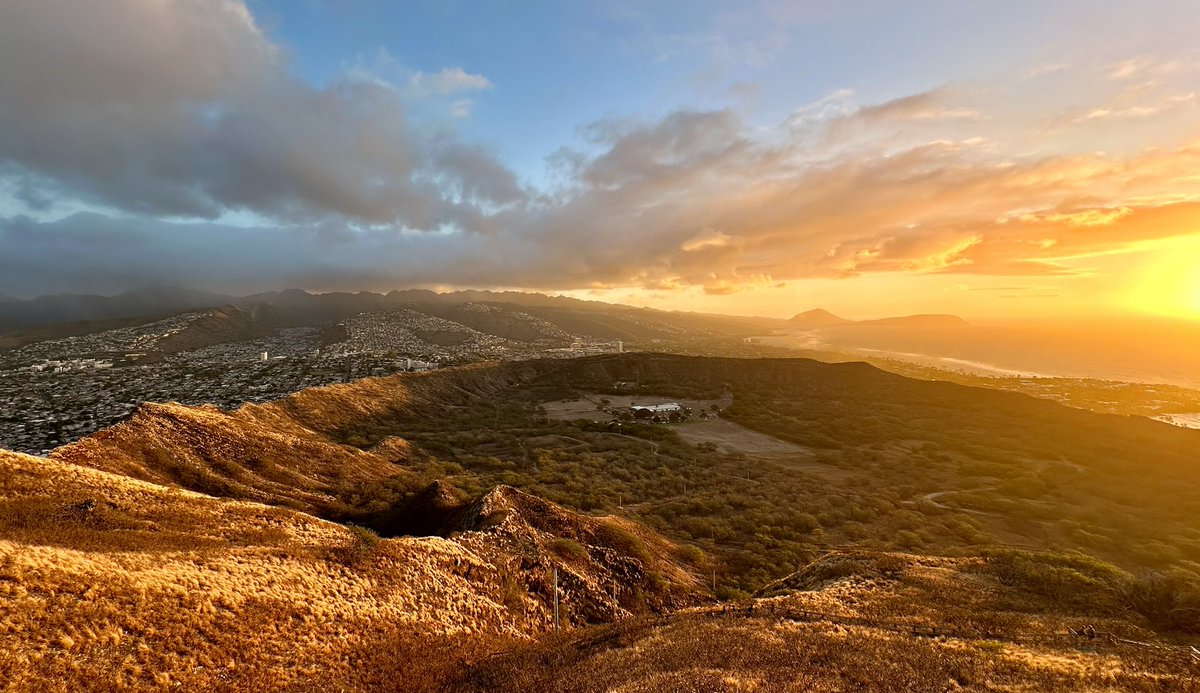 Ed Strivens tweet media