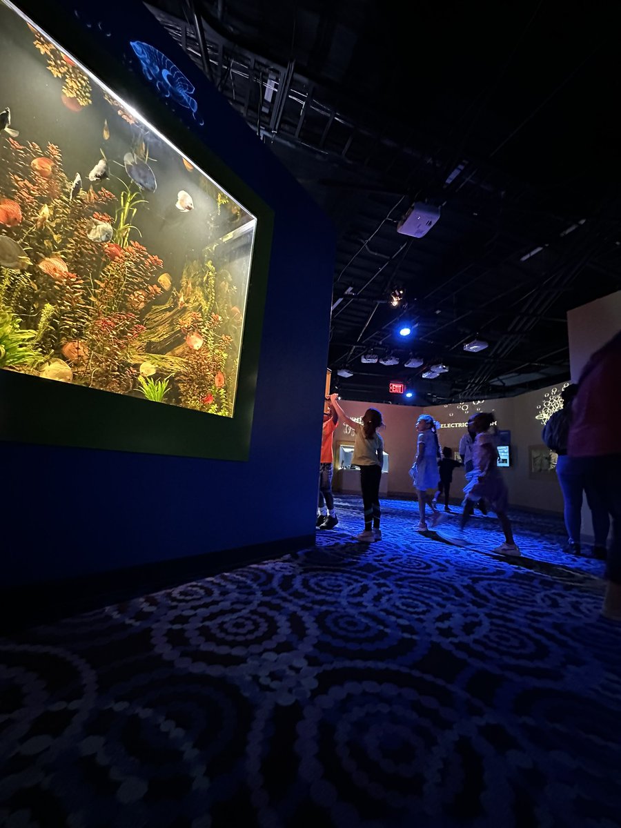 delaossacamara's tweet photo. Diversión y educación para la conservación de la biodiversidad en el @floridaaquarium Una excelente experiencia para que niños y adultos conozcan sobre la importancia de los ecosistemas marino-costeros https://t.co/UJXzQ6epjX