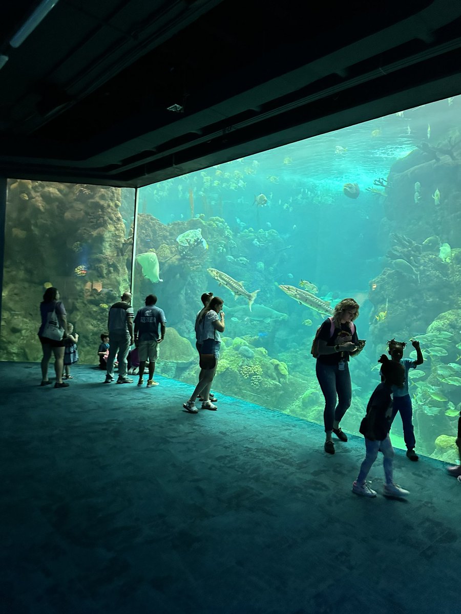 delaossacamara's tweet photo. Diversión y educación para la conservación de la biodiversidad en el @floridaaquarium Una excelente experiencia para que niños y adultos conozcan sobre la importancia de los ecosistemas marino-costeros https://t.co/UJXzQ6epjX