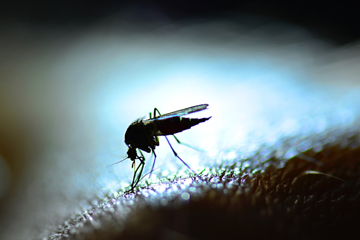 Duke-NUS Medical School tweet media