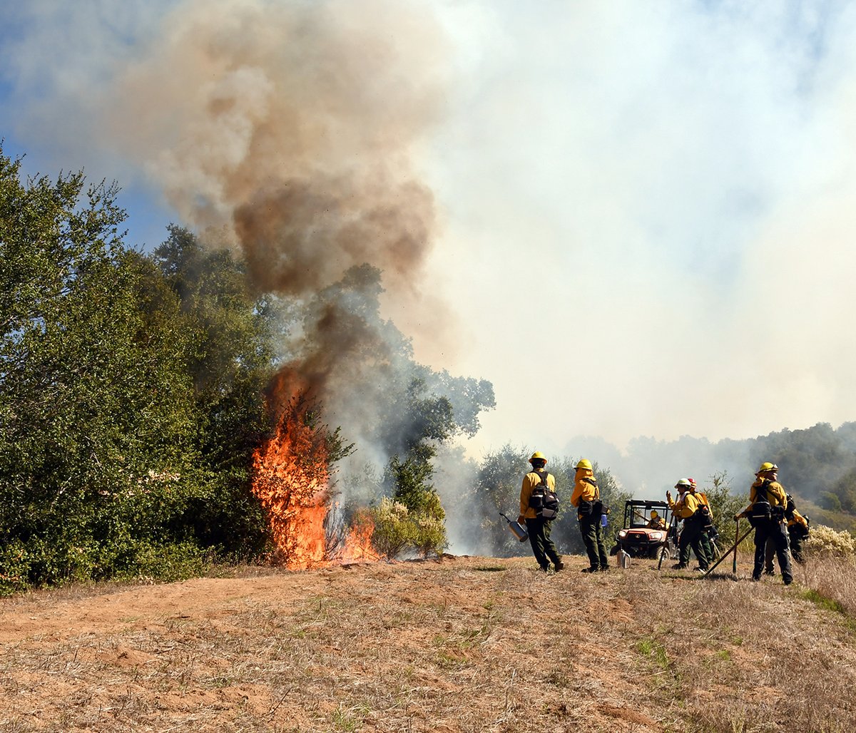Santa Lucia Conservancy tweet media