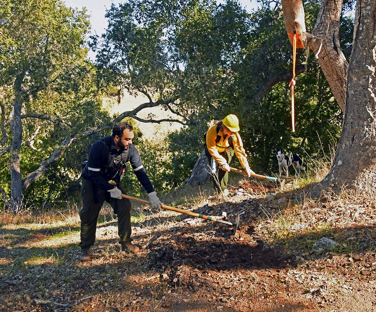 Santa Lucia Conservancy tweet media