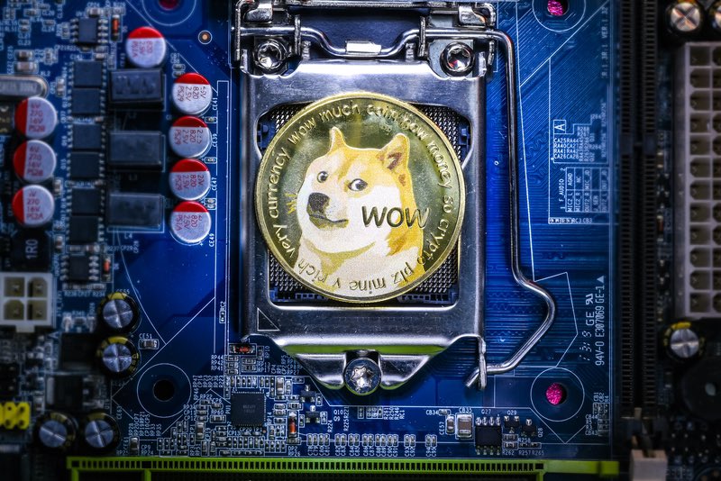 Own the Dogecoin #doge