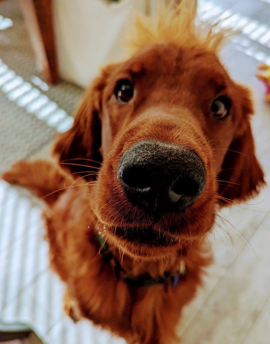 Katrina “what would Ann Richards do” Ryan tweet media