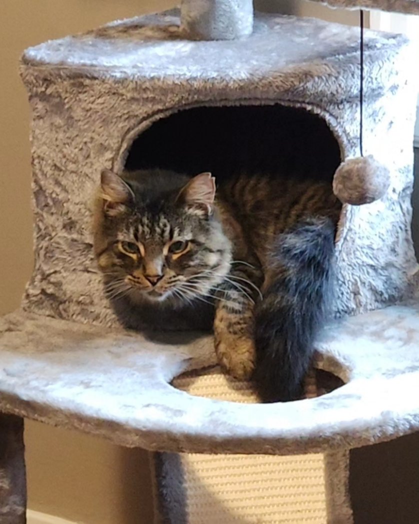 emmy 💗 tweet media