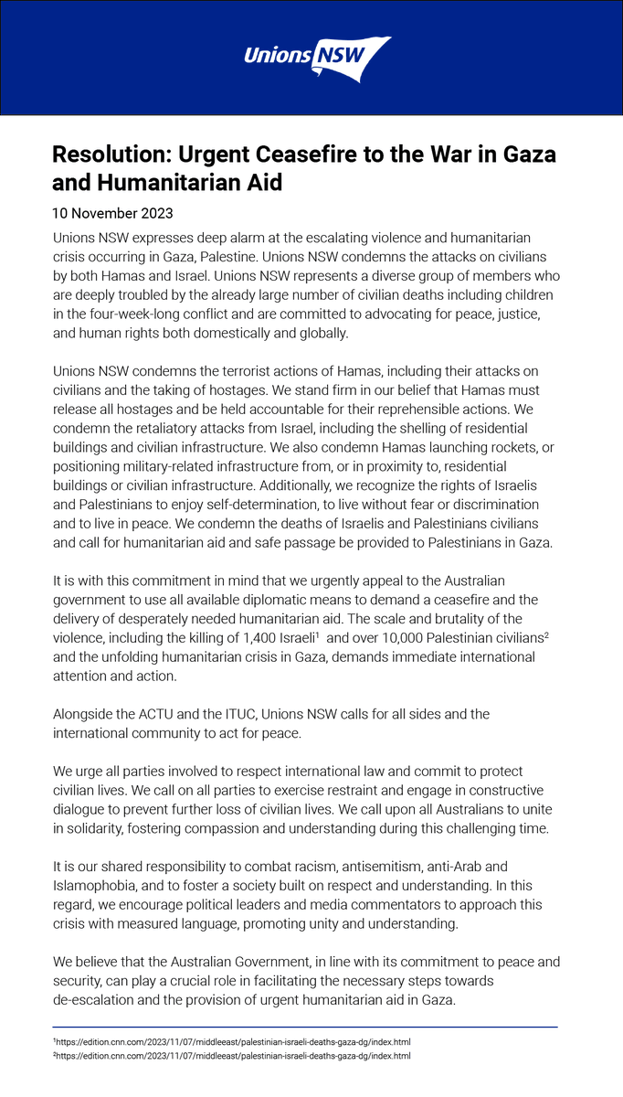Unions NSW this morning passed an urgent resolution in line with the ACTU and ITUC calling for all sides and the international community to act for peace in Gaza. We urgently appeal to the Australian government to use all available diplomatic means to demand a ceasefire.