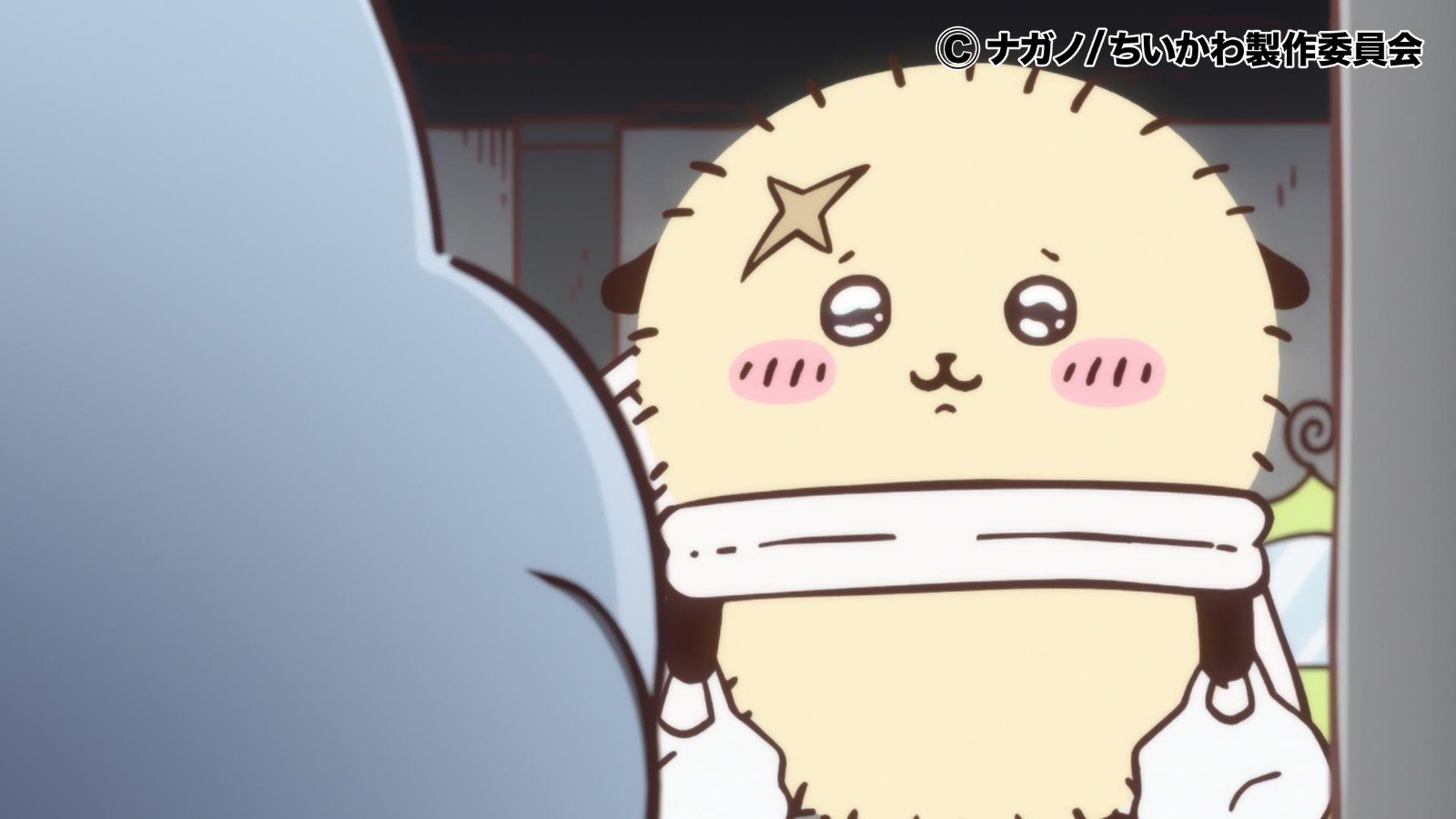 海獺與愛車t重逢感動不已