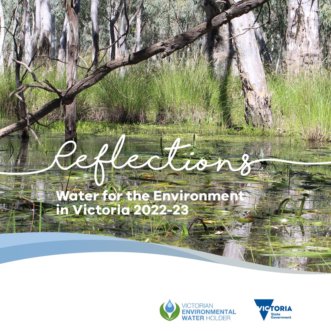 'floods resulted in 100% allocations for all entitlements in the Wimmera-Glenelg headworks system'
@VicEWH have released Reflections: Water for the environment in Victoria 22-23
tinyurl.com/yckmcbed
#waterfortheenvironment #CMAsGetItDone #environmentalwater #environmentalflows