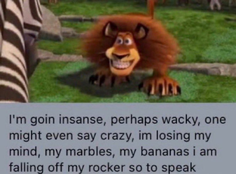 manicforwalls28's tweet image. if you see this post any photo from your gallery without explanation