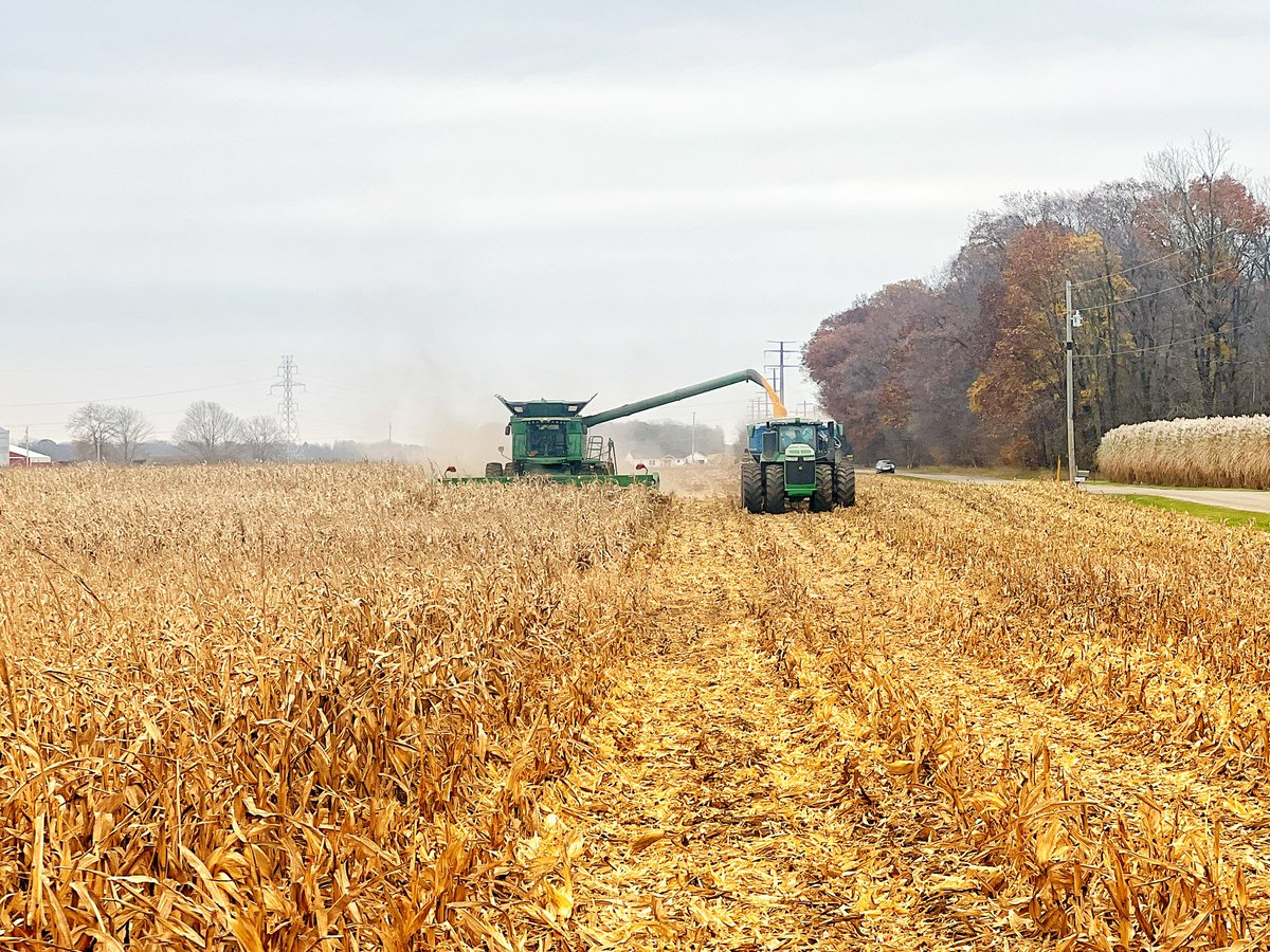 TomFarms's tweet image. #TodayAtTomFarms

We have been working with Dekalb on #Preceon #SmartCorn. We harvested yesterday and we are pleased with the results! 

Stronger Together

#TomFarms #BayerCropScience #Technology #Dekalb #Corn #Indiana #LetsGo @Asgrow_DEKALB @Bayer4Crops